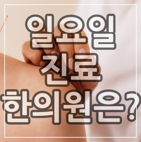 노원구 일요일 한의원