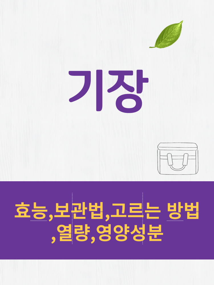  기장 효능 및 열량과 보관법 칼로리 총정리 