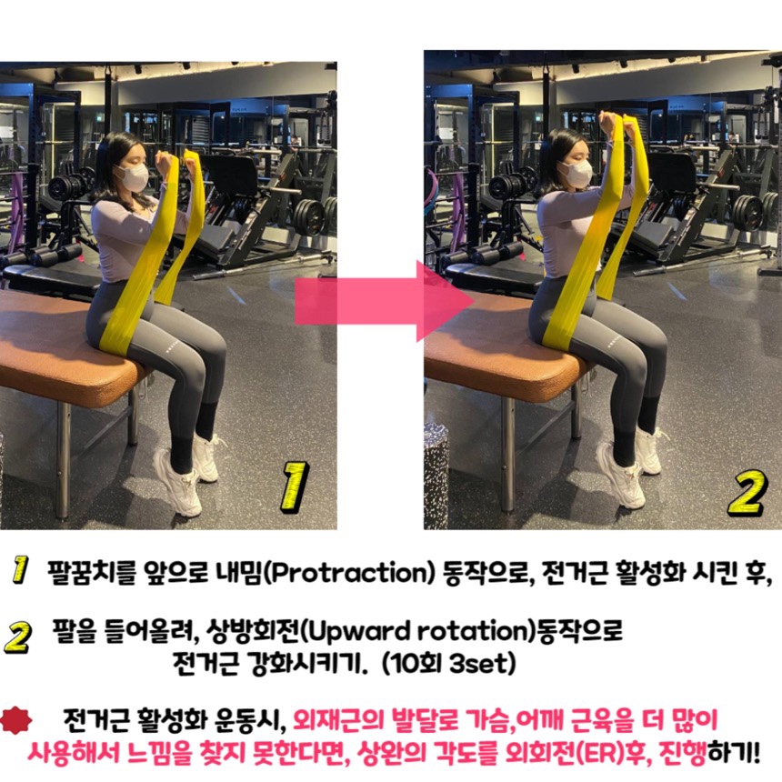  굽은등자세교정에 필요한 전거근 근육 강화하기 :D[홍대 빗미PT]
