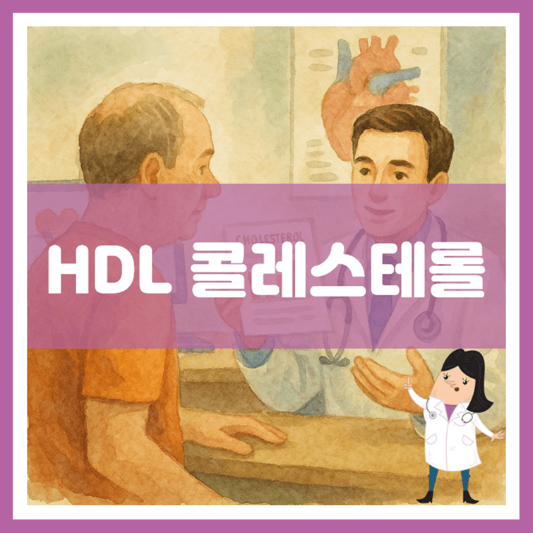 HDL 콜레스테롤