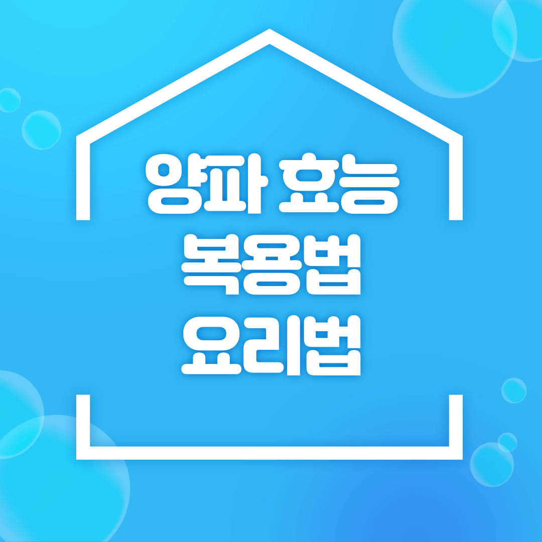 양파 효능, 복용법, 요리법에 대한 사진