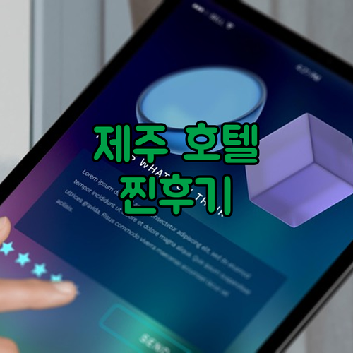후회 없는 선택 제주 인기 호텔 컬리