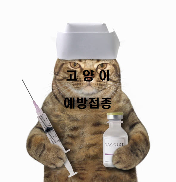  노다지네 잡학다식