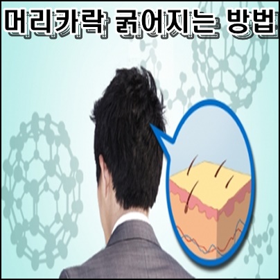  머리카락 굵어지는 방법 5가지