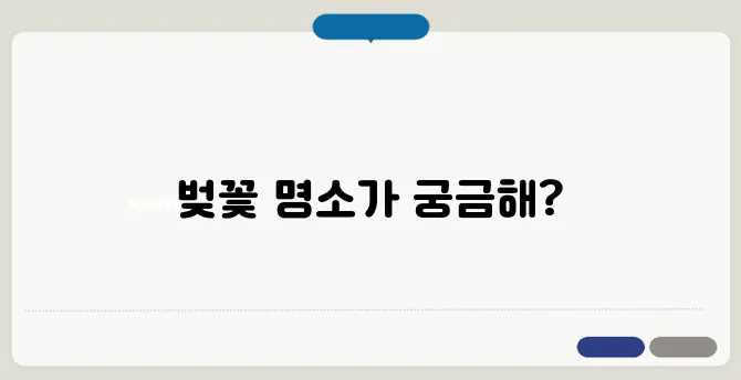 2025 벚꽃여행 추천! 국내·해외 벚꽃 핫플 모음