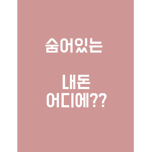  숨어있는 내 돈 다 어디로 갔지?
