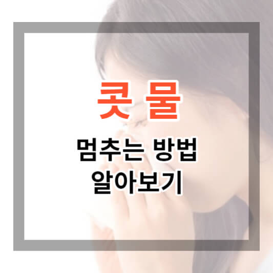  줄줄 흐르는 콧물 멈추는 방법이 어떤게 있을까요?