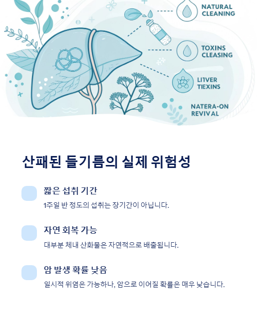 산패된 들기름의 실제 위험성