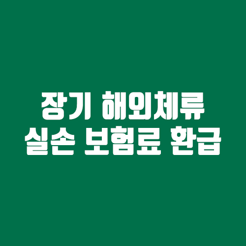 실손보험료 환급 [정보] 해외 장기
