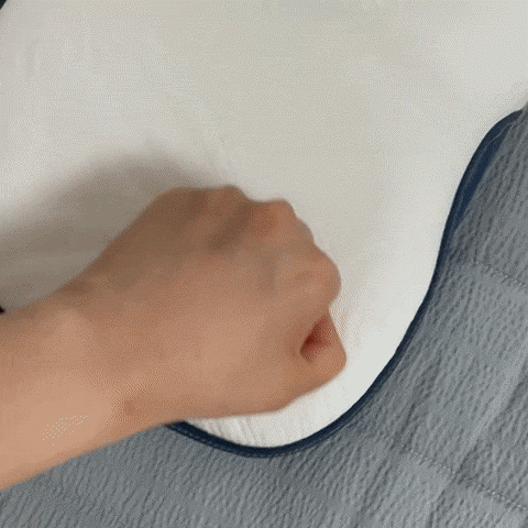 씨가드3중구조 닥터필로 베개 4