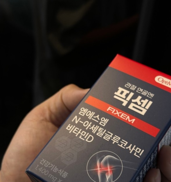 픽셈 사진