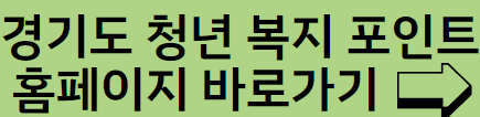 경기도 청년 복지포인트