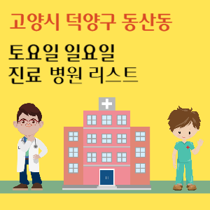 고양시 덕양구 동산동 토요일 일요일 진료 병원 리스트