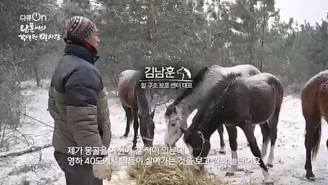 [189회] 다큐온 - KBS남훈 씨의 각별한 말 사랑] 연평균 1400여 마리의 경주마들이 경마장을 떠나 퇴역 경주마가 된다.ts_20230330_204017.270.jpg
