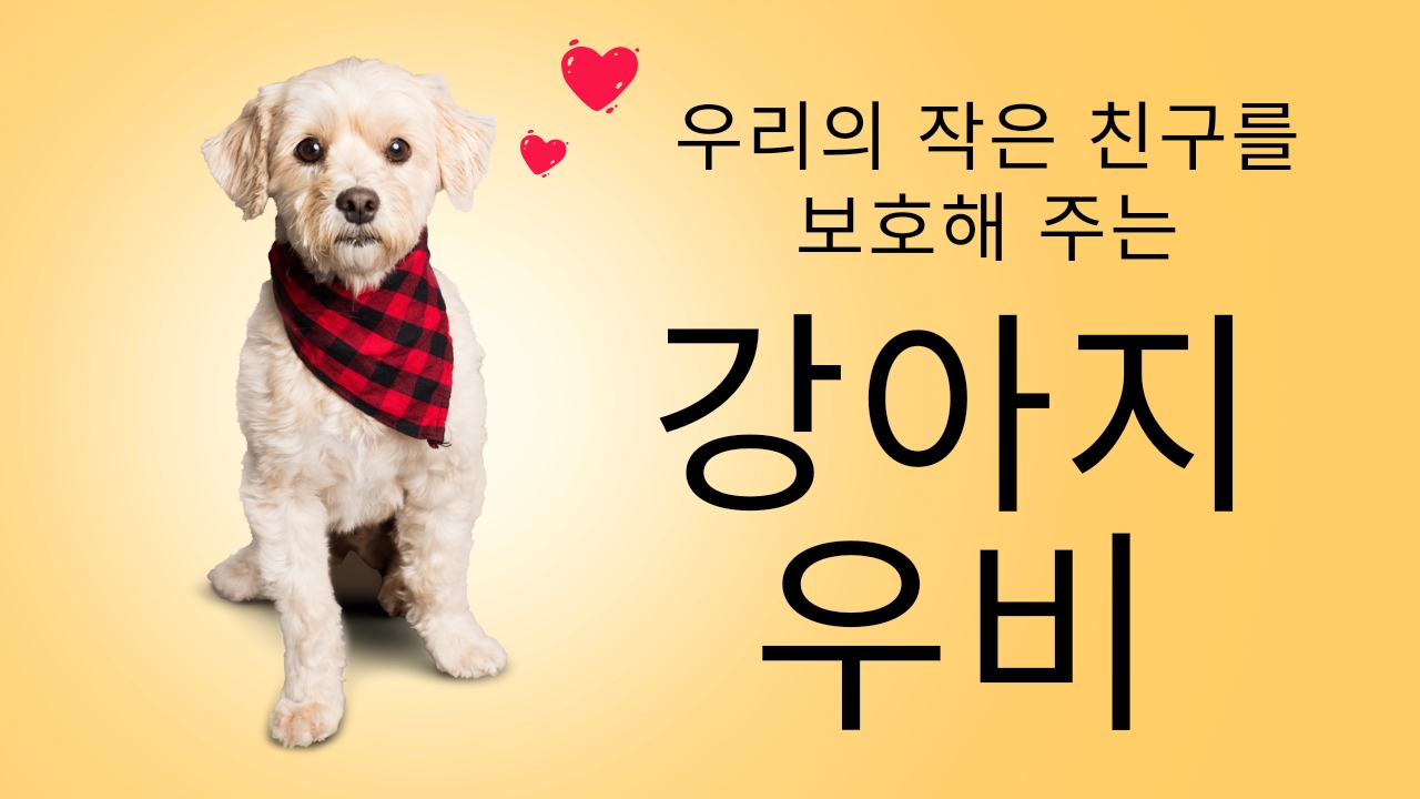  우리의 작은 친구를 보호해주는 강아지 우비