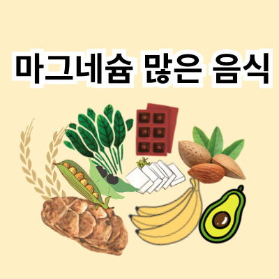 마그네슘-많은-음식