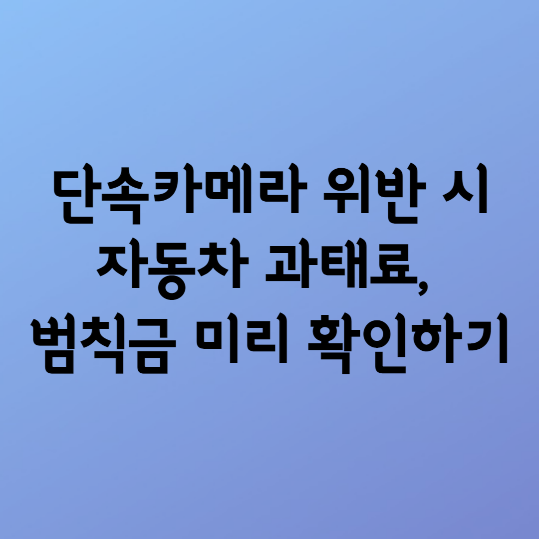  자동차 과태료(+범칙금) 조회해보기! 마음이 찜찜할 때