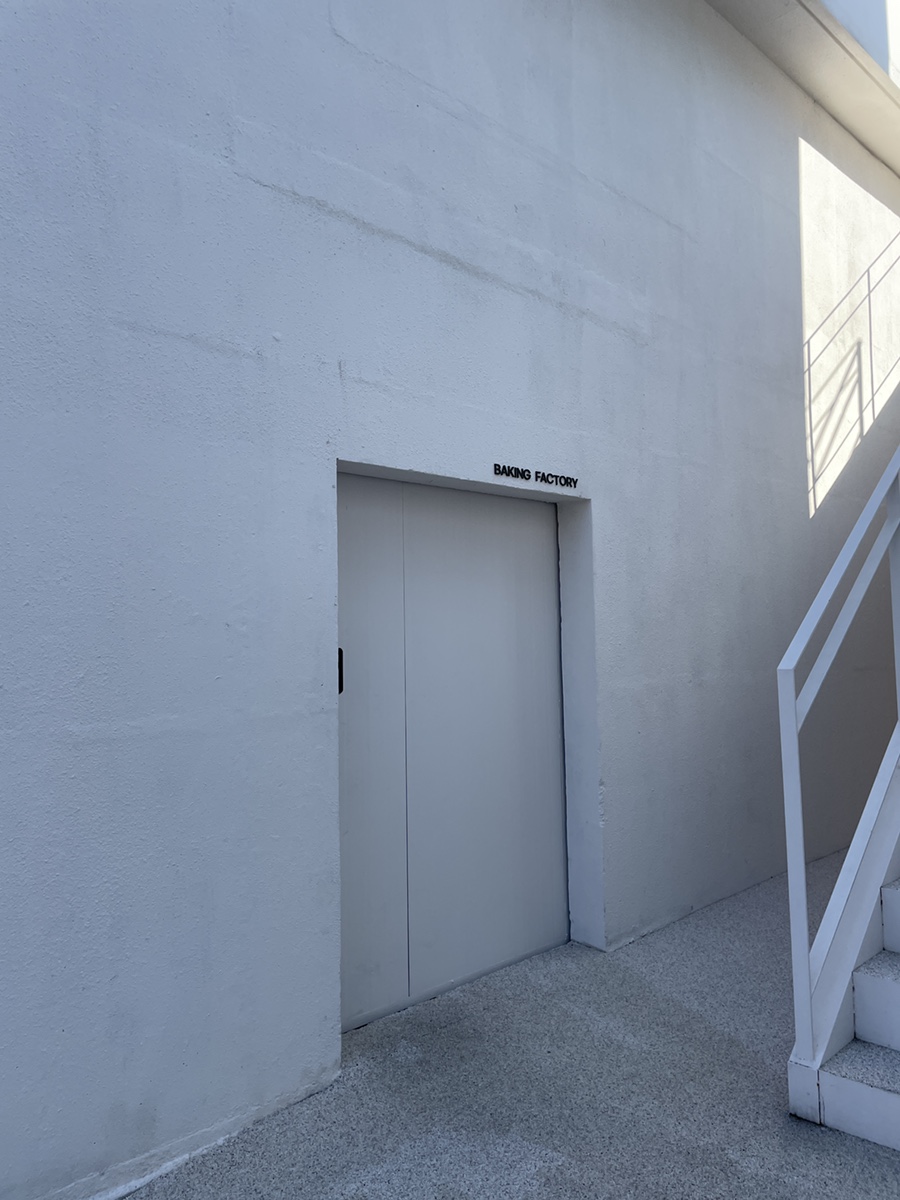 사랑 <느티나무의 > 15