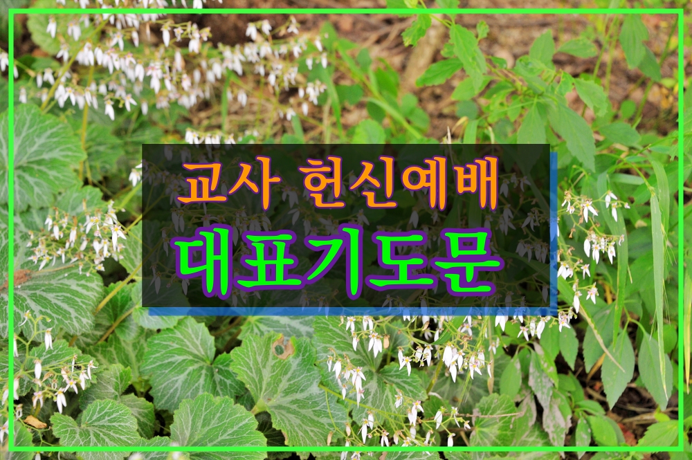  교사 헌신예배기도문