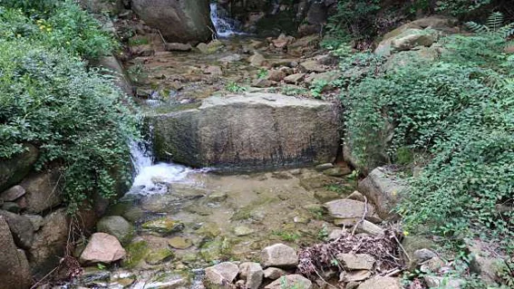 양주천보산림욕장