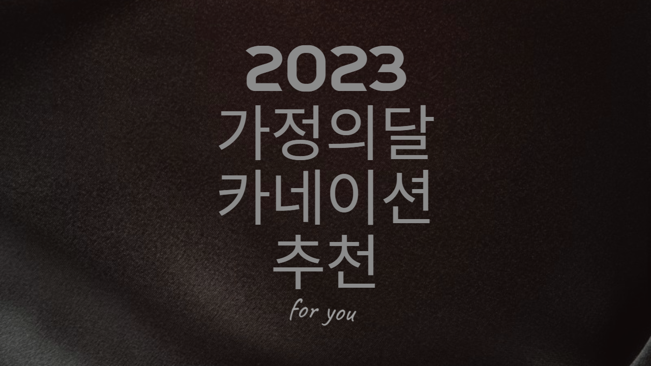  [가정의달] 이것만 보면 됩니다. 카네이션 화분 추천!!