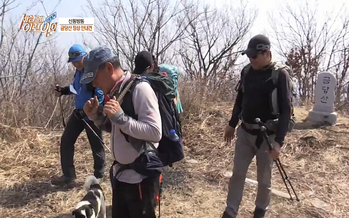순간포착 세상에 이런일이.E1176.220420p-NEXT.mp4_20220420_175850.636.jpg