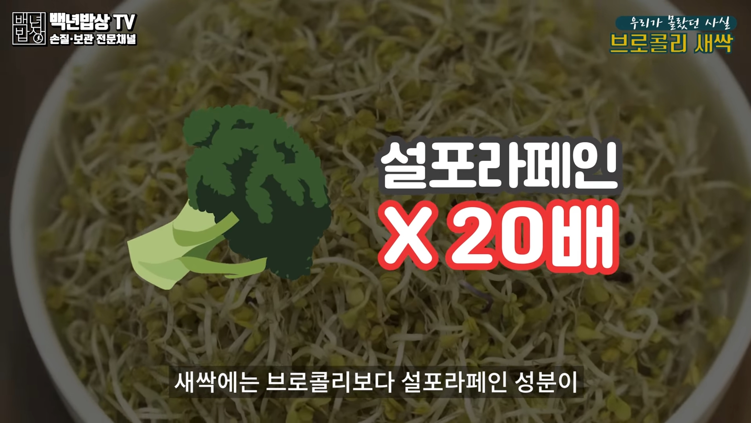 농림축산 식품부에 따르면
새싹에는 브로콜리보다
설포라페인 성분이 20배 이상
함유되어 있다고 하네요