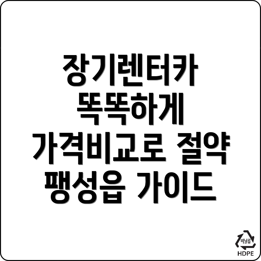 장기렌터카