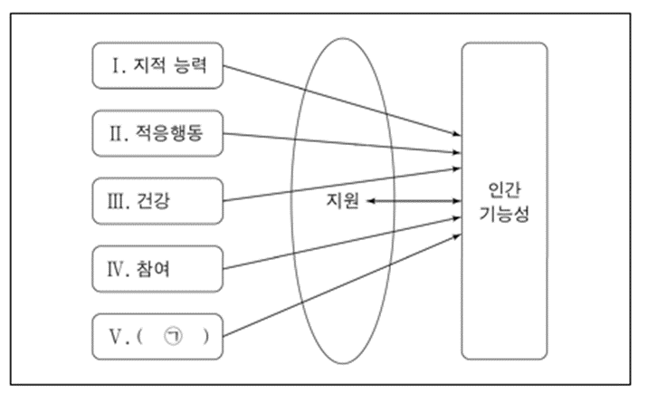 인간-기능성의-개념적-틀