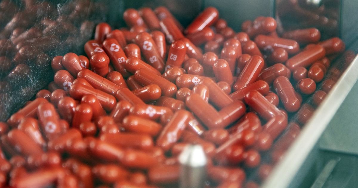  “투약후 최소 4일 성관계 금지”…먹는 코로나약 임상실험 주의사항 보니