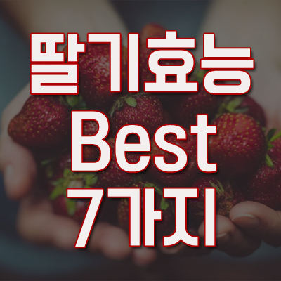 딸기 효능 Best 7