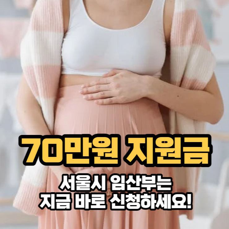  서울시 임산부 교통비 70만원 지원사업 신청하세요
