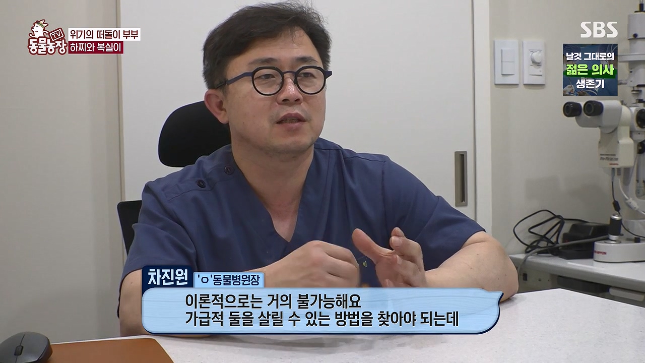 TV 동물농장.E1138.230918p-NEXT.mp4_20230917_172110.586.jpg
