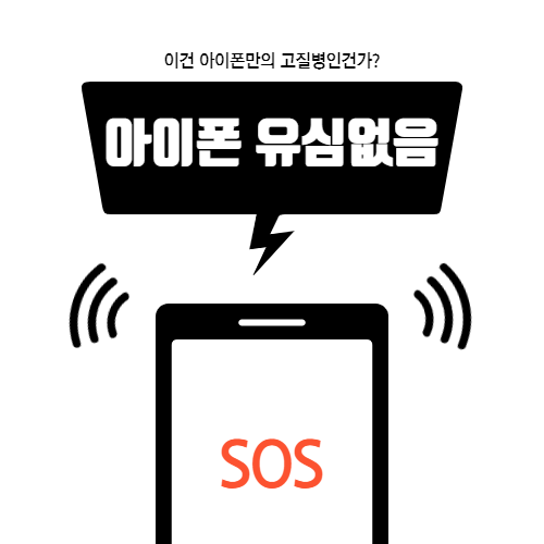 아이폰 sim 없음 서비스안됨