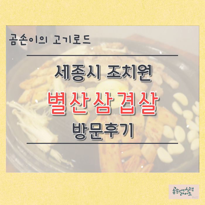  곰손이의 고기로드 : 세종 조치원 별산삼겹살