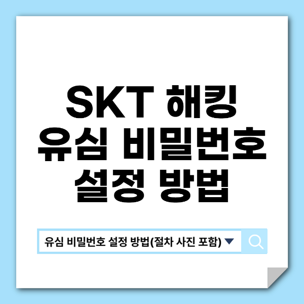 skt 해킹, 유심비밀번호 설정 방법