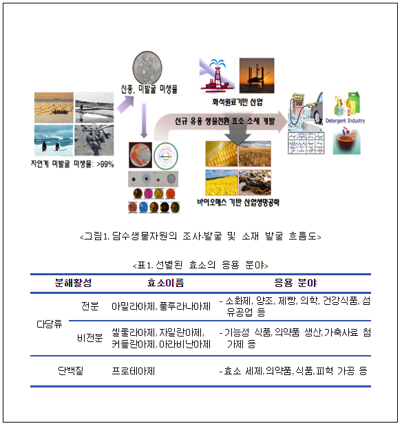  영산강과 섬진강에서 국내 미기록 세균 101종 발견