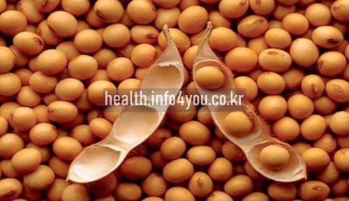 피부에 좋은 음식 : 콩