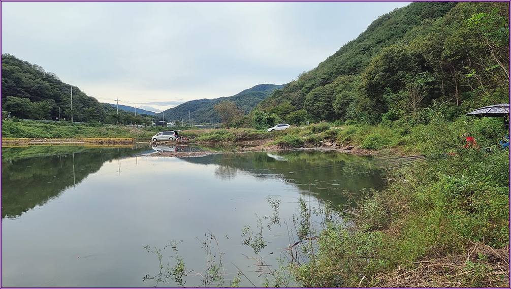 동행출조(봉학지) :: 토종붕어를 사랑하는 사람들