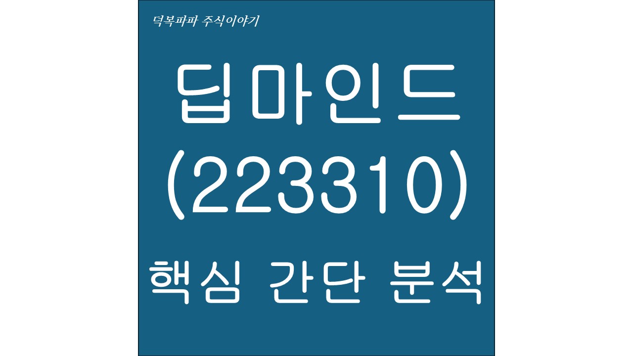 딥마인드(223310) 핵심 간단 분석