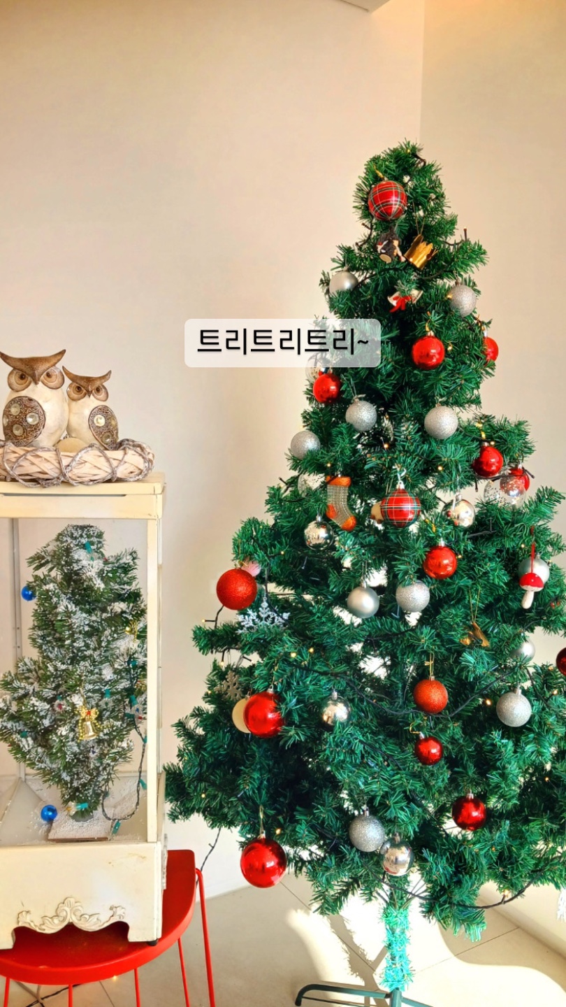 카페그라운드 이미지