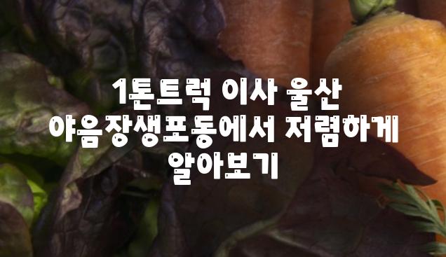  1톤트럭 이사 울산 야음장생포동에서 저렴하게 알아보기