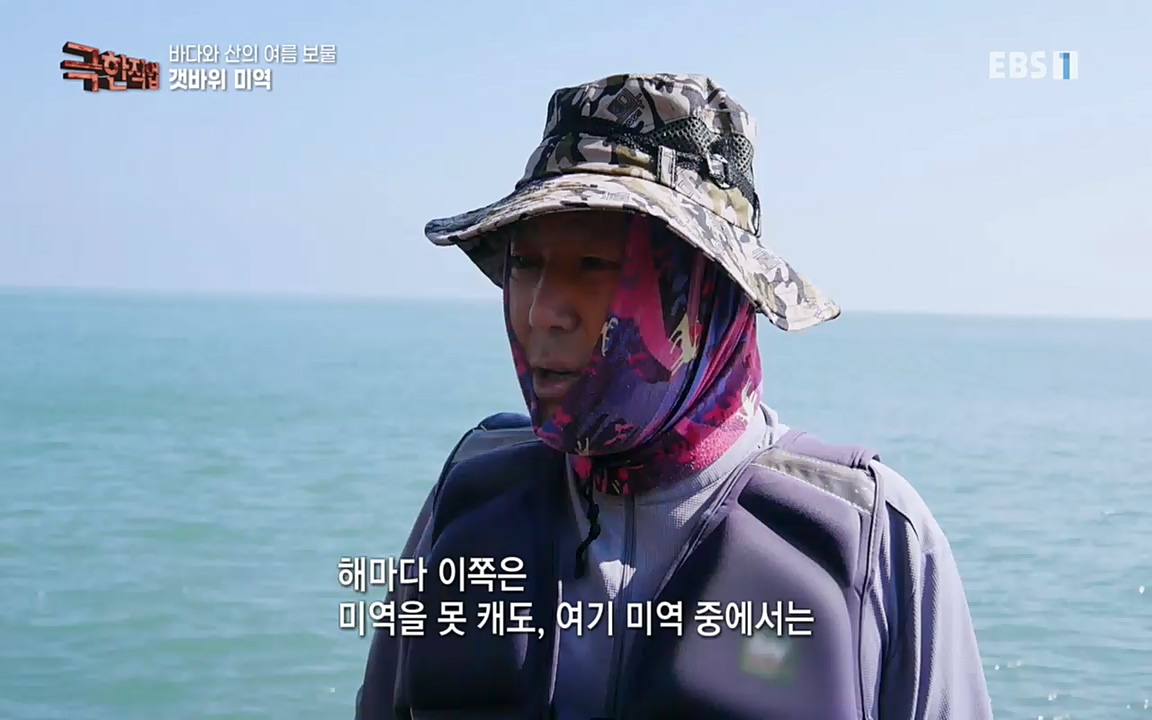 TV - 교육의 중심 EBS바다와 산의 여름 보물, 갯바위 미역 & 꽃송이버섯.mp4_20220828_145315.122.jpg