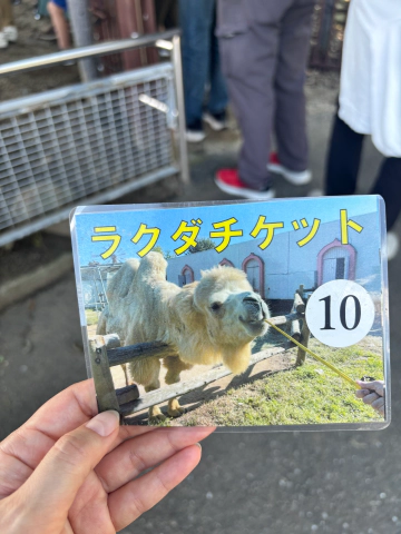 도부 동물원 입장권