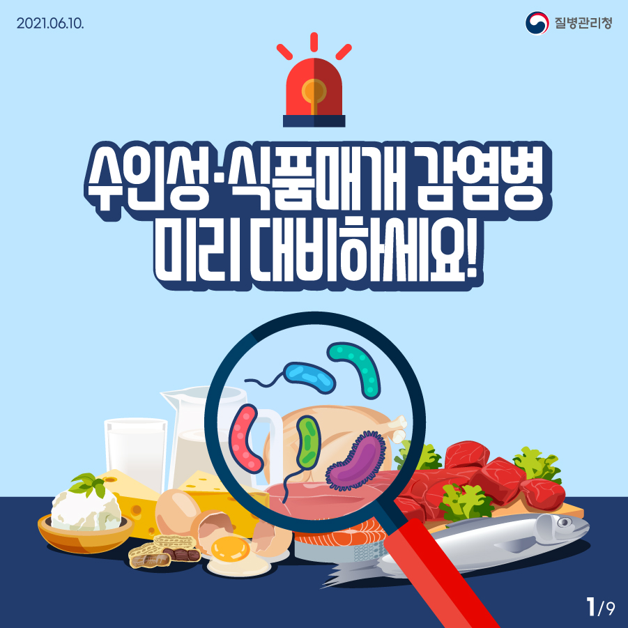  수인성 식품매개 감염병