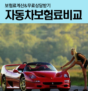  차량보험견적 신한자동차보험 누구나혜택 담아가세요.