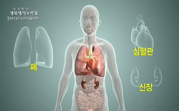 [792회] 생로병사의 비밀 - KBS[세균의 습격, 당신의 잇몸을 지켜라!] 감기보다 병원을 더 자주 찾게 만드는 질병이 있다. 바로 치주질환이다. 2020년 외래 다빈도 질병 1위를 차지한 치은염 및 치주질환 환자는 1,637_20220505_140736.517.jpg