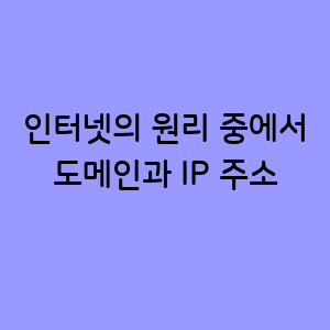 도메인과 IP 주소