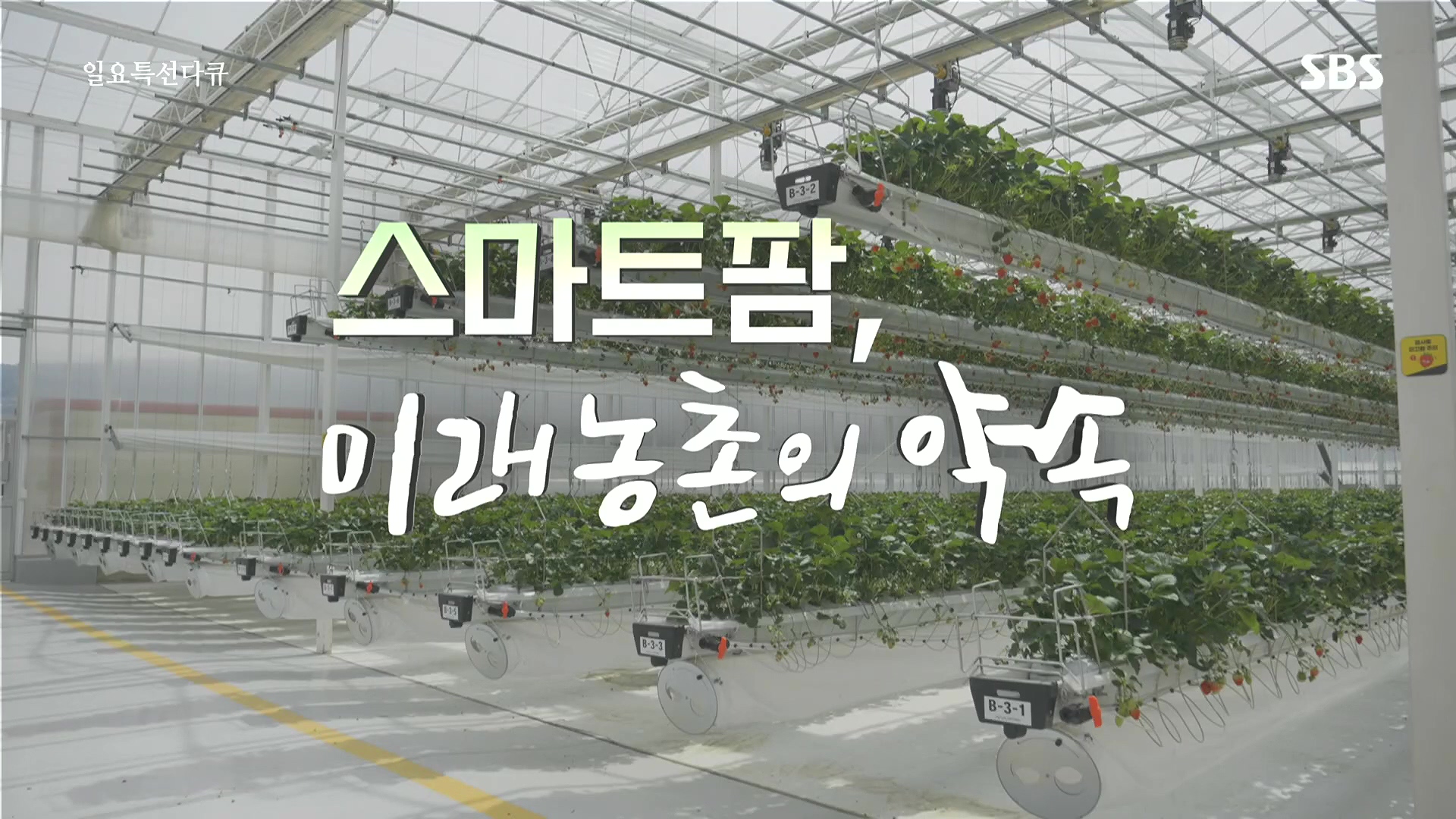 일요 특선 다큐멘터리.E348.240804p.H264-F1RST.mp4_20240805_195245.443.jpg