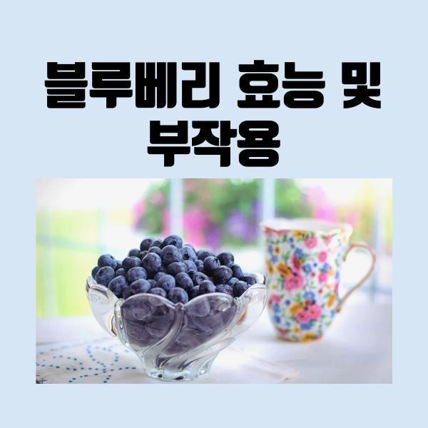 블루베리